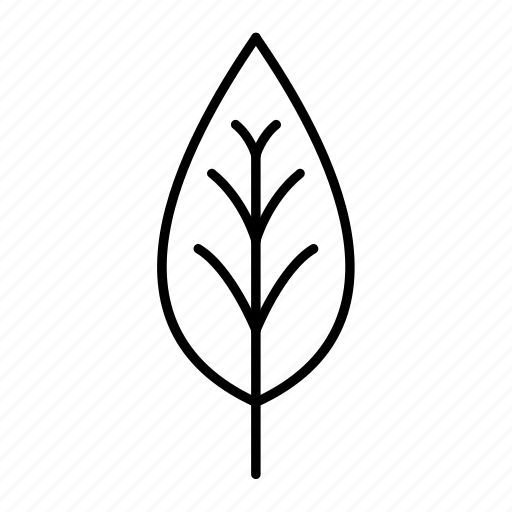 Forest, leaf, nature, outline, plant icon - Download on Iconfinder