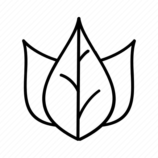 Environment, leaf, nature, outline, plant icon - Download on Iconfinder