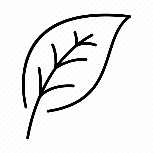 Forest, leaf, nature, outline, plant icon - Download on Iconfinder