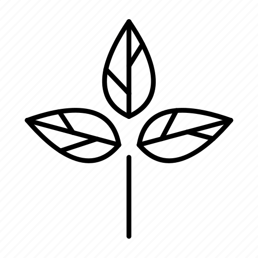 Environment, leaf, nature, outline, tree icon - Download on Iconfinder
