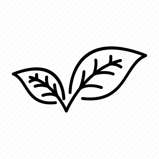 Environment, forest, leaf, nature, outline, plant icon - Download on Iconfinder