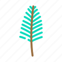 areca, palm, tropical, leaf, plant, jungle