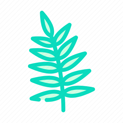 Chamaedorea, tropical, leaf, plant, palm, jungle icon - Download on Iconfinder