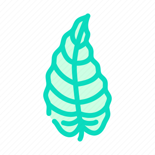 Philodendron, tropical, leaf, plant, palm, jungle icon - Download on Iconfinder
