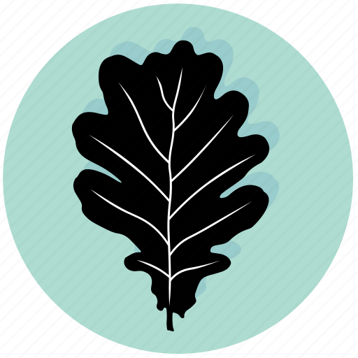 Leaf, ecology, environment, forest, oak, plant, tree icon - Download on Iconfinder