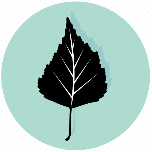 Leaf, birch, eco, floral, forest, nature, plant icon - Download on Iconfinder