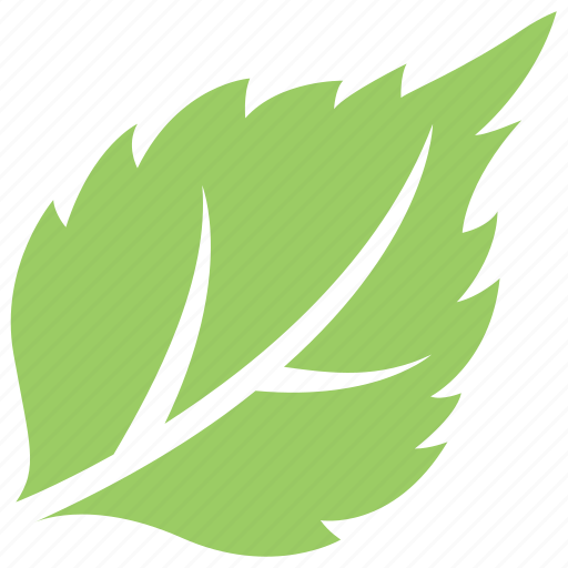 Fruit leaf, green leaf, serrated leaf, strawberry leaf, toothed leaf icon - Download on Iconfinder