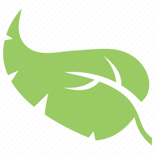 Green leaf, leaf, leaf design, leaf shape, palm leaf icon - Download on Iconfinder