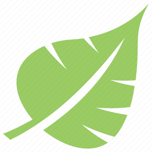 Green leaf, leaf, leaf design, leaf shape, palm leaf icon - Download on Iconfinder