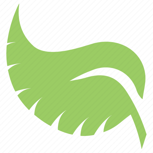 Green leaf, leaf, leaf design, philodendron split leaf, tropical leaf icon - Download on Iconfinder