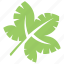 green leaf, leaf, leaf design, leaf shape, sycamore leaf 