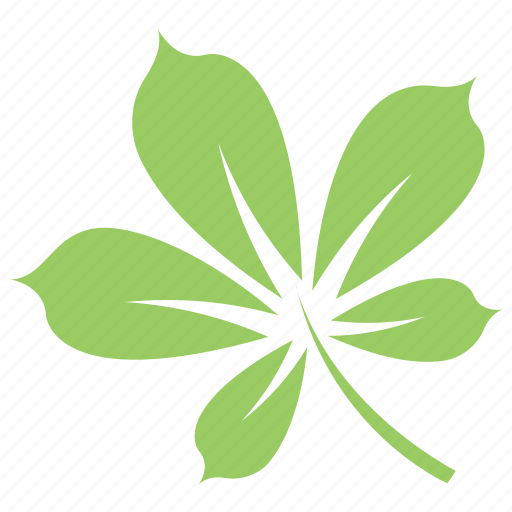 Chestnut leaf, green leaf, leaf, leaf design, leaf shape icon - Download on Iconfinder