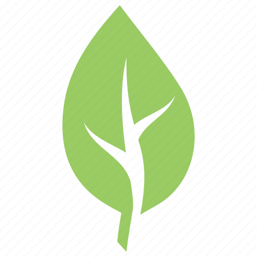 Cherry leaf, green leaf, leaf, leaf design, leaf shape icon - Download on Iconfinder