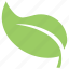 ecology symbol, green leaf, leaf, leaf design, leaf shape 