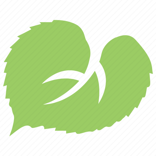 Green leaf, heart-shaped leaf, leaf, leaf design, linden leaf icon - Download on Iconfinder