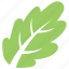 green leaf, leaf, leaf design, leaf shape, oak leaf 