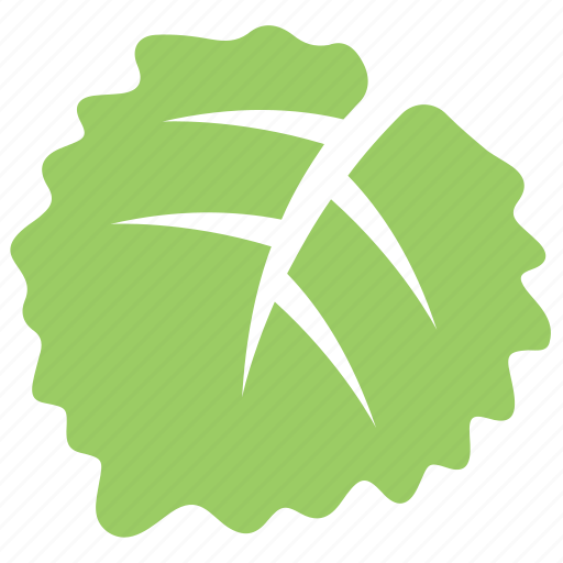 Aspen leaf, green leaf, leaf, serrated leaf, toothed leaf icon - Download on Iconfinder
