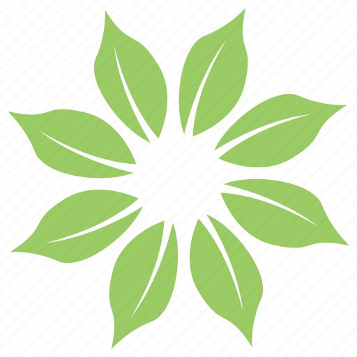 Adirondack wildflower, green flower, leaf arrangement, whorled leaves, wild flower icon - Download on Iconfinder