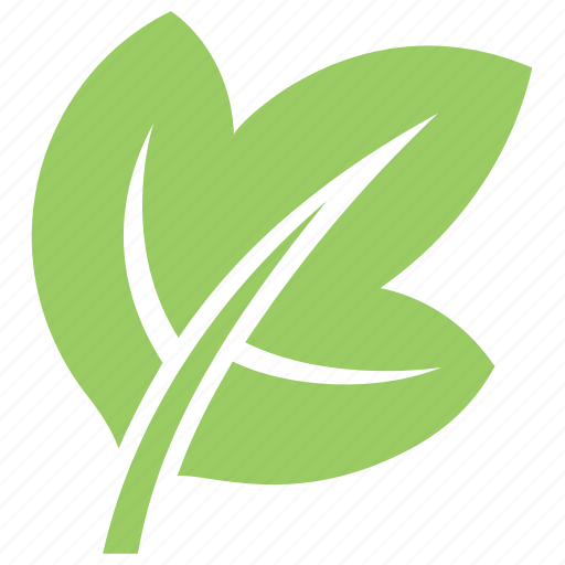 Green leaf, ivy leaf, leaf, leaf design, leaf shape icon - Download on Iconfinder
