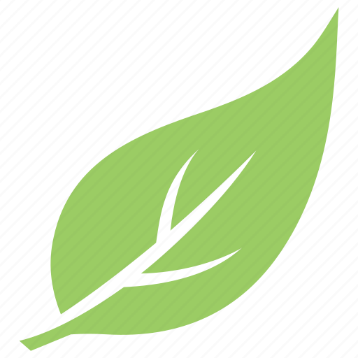 Green leaf, hackberry leaf, leaf, leaf design, leaf shape icon - Download on Iconfinder