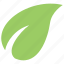 green leaf, leaf, leaf design, leaf shape, simple leaf 