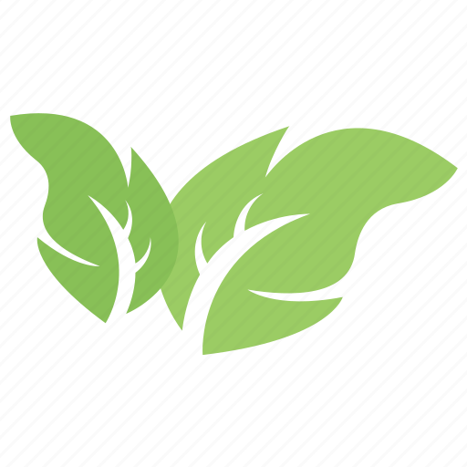 Ecology symbol, leafy logo, plant nursery, two leaf symbol, two leaves icon - Download on Iconfinder