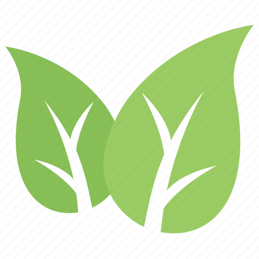 Eco green, eco leafs, green leaf, leaf design, leaf shape icon - Download on Iconfinder