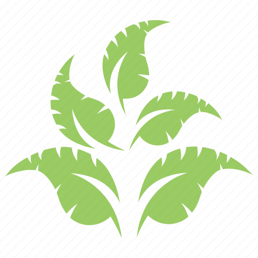 Apple leaves twig, green leaf, leaf, leaf design, leaf shape icon - Download on Iconfinder
