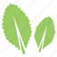ecology symbol, leafy logo, plant nursery, two leaf symbol, two leaves 