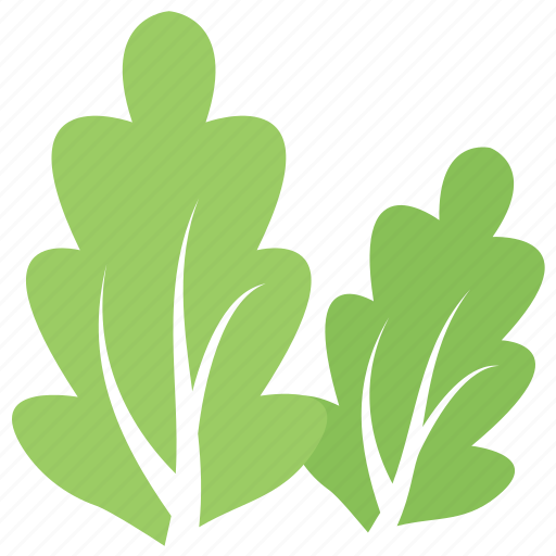 Foliage, leafy design, oak, toothed leaves, two oak leaves icon - Download on Iconfinder