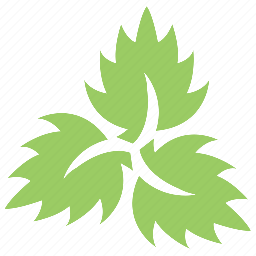 Divided leaf, green leaves, leaf logo, three leaves, veppilai leaves icon - Download on Iconfinder