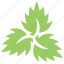 divided leaf, green leaves, leaf logo, three leaves, veppilai leaves 