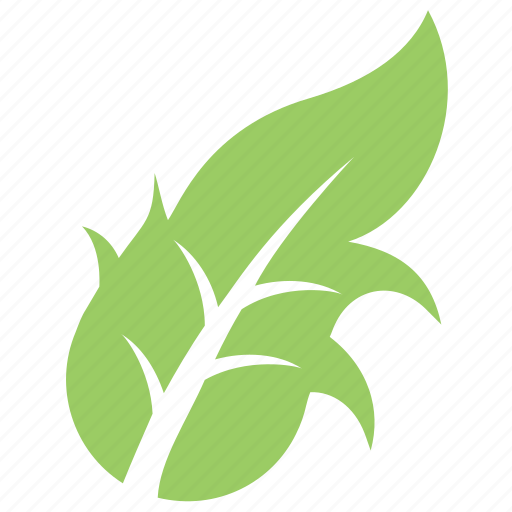 Dandelion leaf, foliage, green leaf, leaf, organic icon - Download on Iconfinder