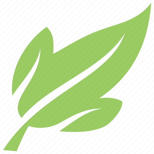 Amur maple leaf, foliage, green leaf, leaf, tatarian maple leaf icon - Download on Iconfinder
