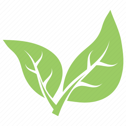 Bipartite leaf, divided leaf, eco leaves, green leaves, two leaves icon - Download on Iconfinder