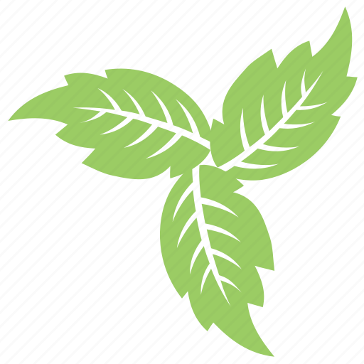 Foliage, green leaf, leaf design, leaf flower, leaves, veppilai leaves icon - Download on Iconfinder