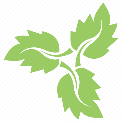Foliage, green leaf, leaf design, leaf flower, leaves, strawberry leaves icon - Download on Iconfinder
