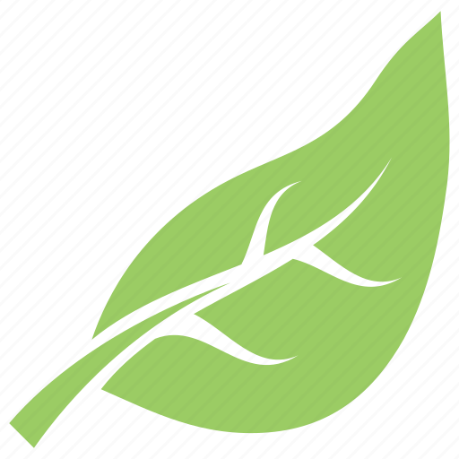 Green leaf, leaf, leaf design, leaf shape, simple leaf icon - Download on Iconfinder