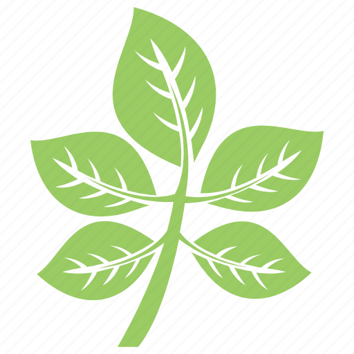 Compound leaves, foliage, leaves, small plant, tree branch icon - Download on Iconfinder
