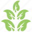 apple leaves twig, fruit leaf, green leaf, leaf, leaf design 