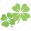 clover leaf, four-leaf clover, lucky clover, shamrock flowers, trefoil plant 