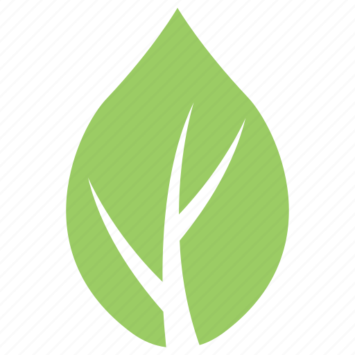 Green leaf, leaf, leaf design, milkweed leaf, wild leaf icon - Download on Iconfinder