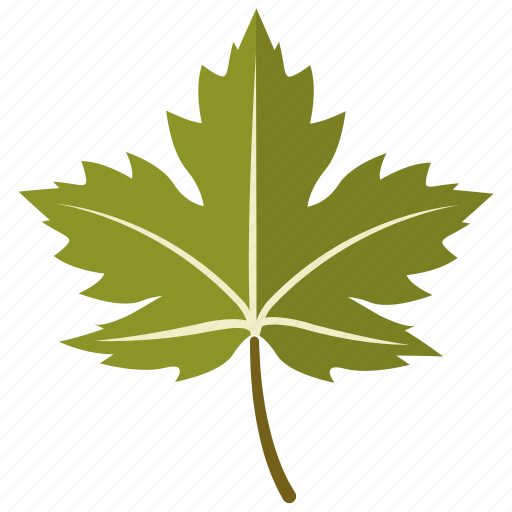 Leaf, leaves, maple, sycamore, tree icon - Download on Iconfinder