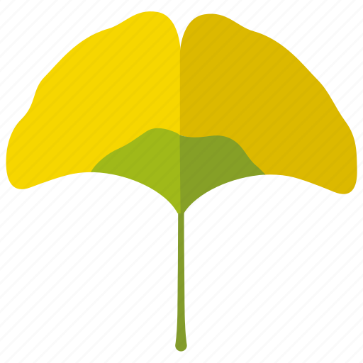 Botany, ginkgo, japan, korea, leaf, maidenhair, tree icon - Download on Iconfinder