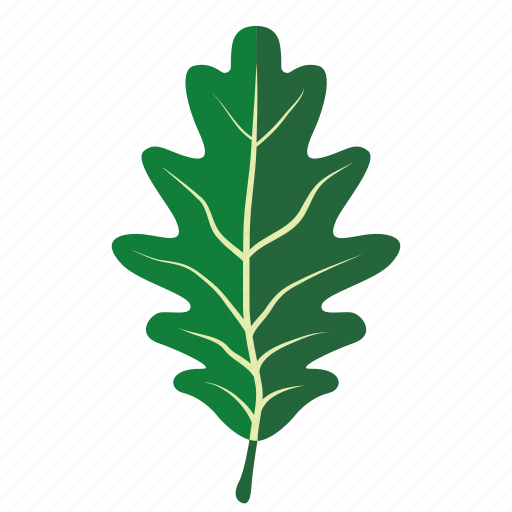 Foliage, leaf, oak, oakleaf, romania, tree icon - Download on Iconfinder