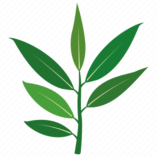 Bush, eucalyptus, gum, leaf, tree, willow icon - Download on Iconfinder