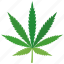 cannabis, drug, hash, leaf, marijuana, medical, pot 