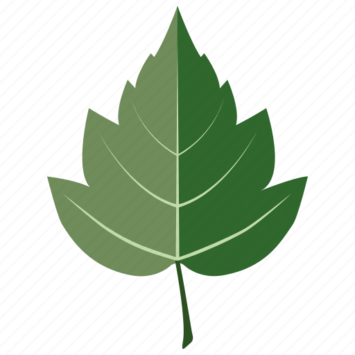 Foliage, hawthorn, leaf, leaves, tree icon - Download on Iconfinder