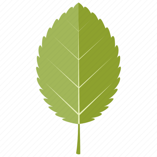 Alder, leaf, leaves, tree icon - Download on Iconfinder
