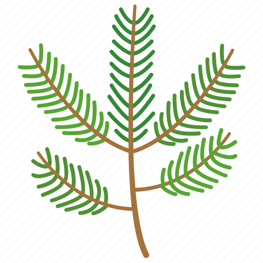 Botanical, cedar, frond, leaf, leaves, nature, oil icon - Download on Iconfinder
